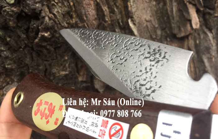 dao-ghep-tay-trai-b-2